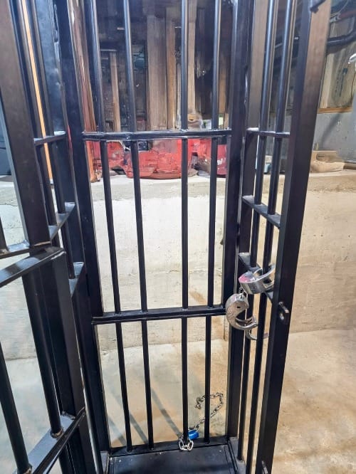 Alpha Grey in the standing cage